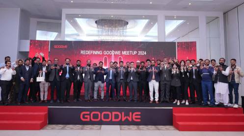 Goodwe-1