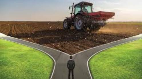 Fertilizer-Industry