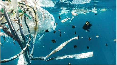 plastic-pollution