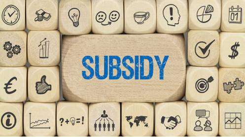 Subsidy-Project
