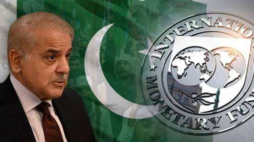Shabaz-IMF
