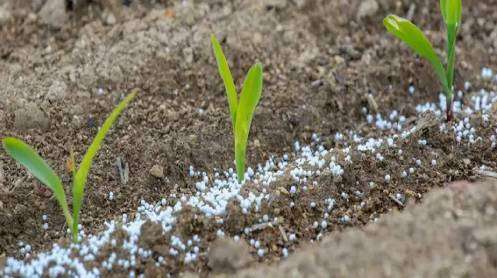 fertiliser-manufacturers