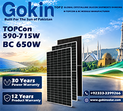 Gokin